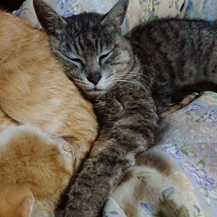 79d86124 c0d8 4b3d 9114 2391d7f8c506 1589981112693