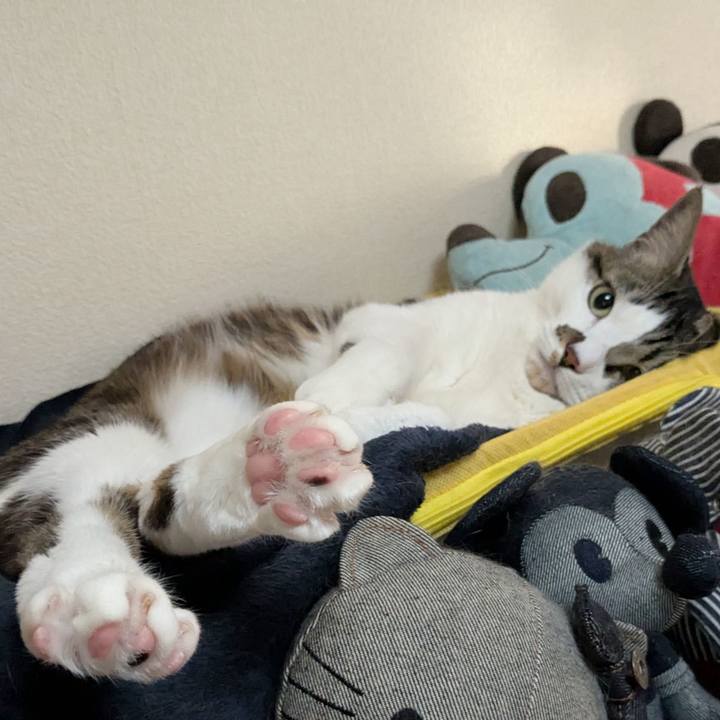 79d8ad84 d890 4647 8c16 f042d443c36a 1741996064388