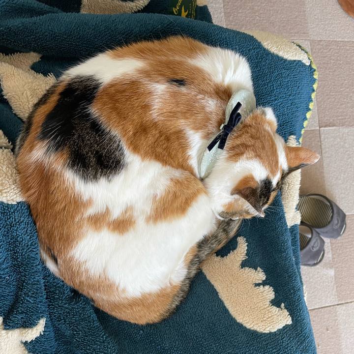 79d8b030 db7a 4706 b2e5 014a9e6a7198 1677390869486