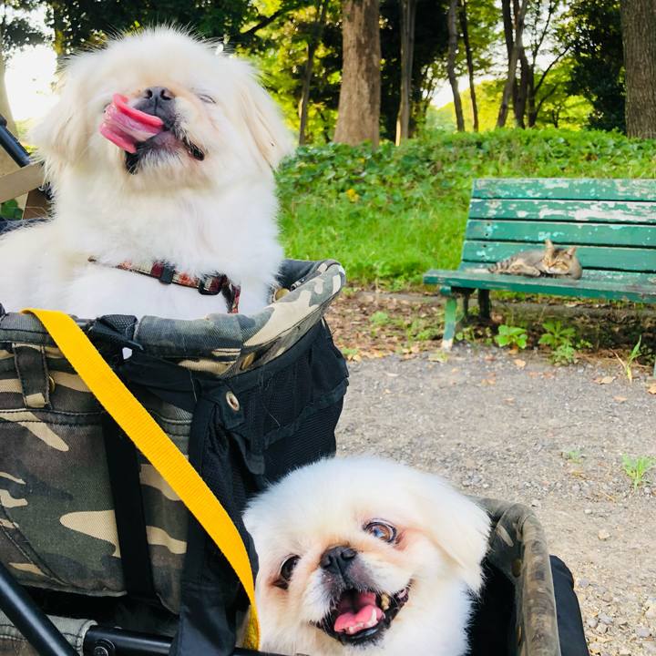 79d8e1bd d7be 4926 94d4 93a4c4717594 1627170656245