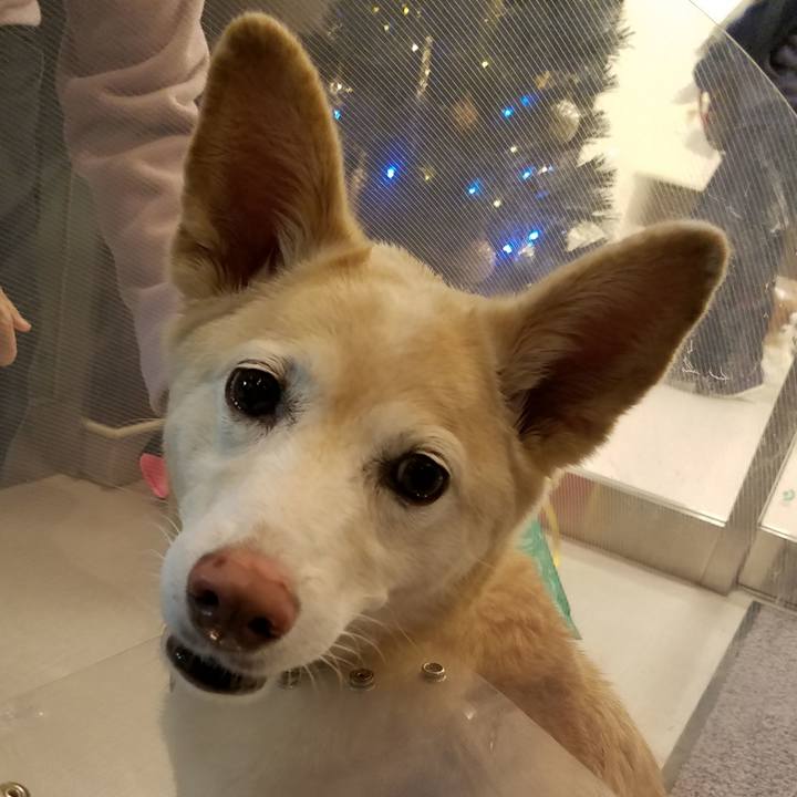 79d8e6d2 9ca7 49b2 b293 296e5a590031 1544865964953