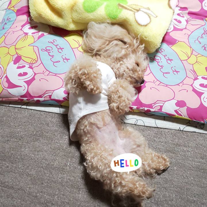 79d90704 7a4e 4709 9483 4db9ef57bb48 1571833035694