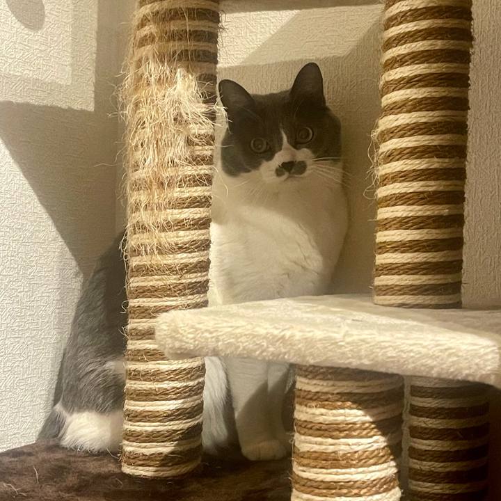 79d956cf 80e4 487f 95c2 abc3efff6c29 1704452848860