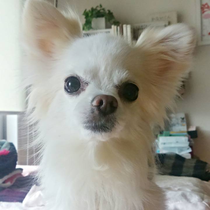 79d96ffe c475 44db 9883 ebe4d1fbfe1a 1514628432912