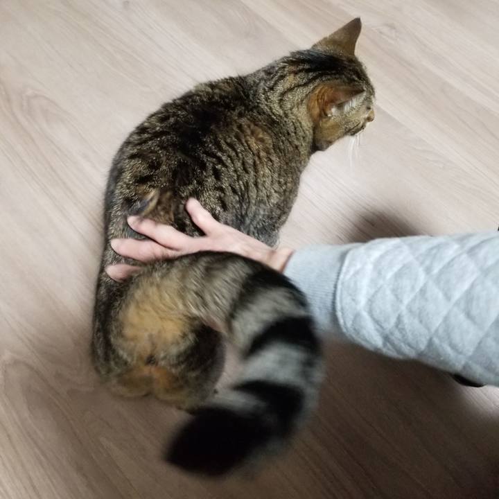 79d974f5 b1e0 4960 a7ca 31ca995a004f 1607035601184