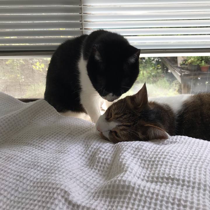 79d97b6b 9aa9 46fd 8e2e 21df78b46312 1568692903861