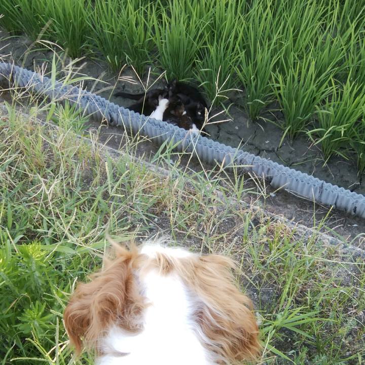 79d97c85 aa16 4ae8 a33e 5bf1da7bcca3 1532260194549