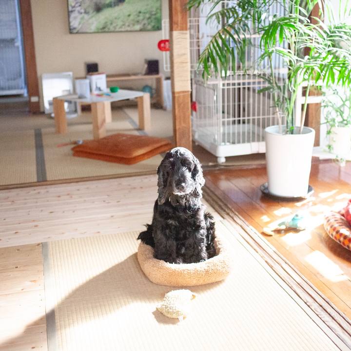 79d9847f ea6c 49b1 98da 9be38f941d6a 1575090929029