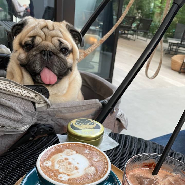 79d984df 5078 4121 b1f7 6a0782942fb8 1666268814124