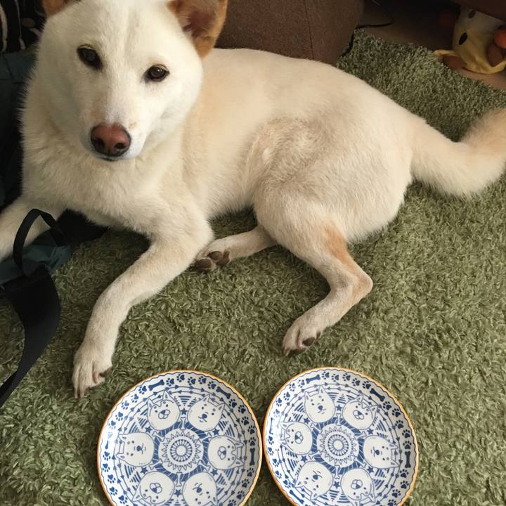 79d98bad dffa 4fe4 a05c 76043b3a0e36 1527673465824