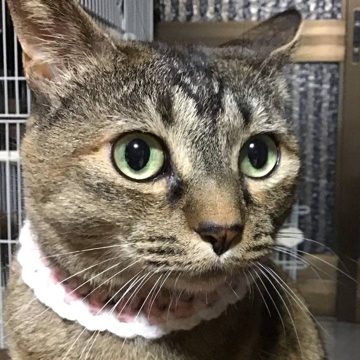 79d99b54 2a91 443e b7c0 55d8b22e4aa2 1749386558476