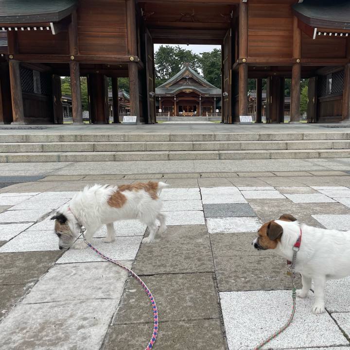 79d9abf4 6a0b 4bd7 93a4 cfbbca0286b7 1760139052150