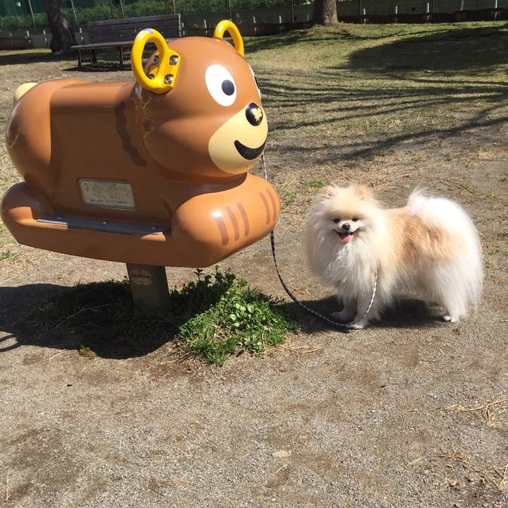 79d9c307 3d6d 436a 8922 0a78453e7646 1521011236592