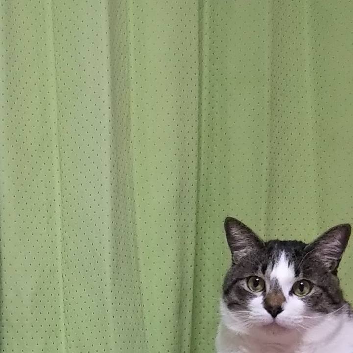 79da4000 5aea 4c3e a2fa 1c39a3d70ec1 1613140307156