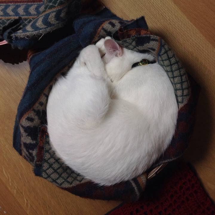 79dae12d f528 46d5 bc07 af6b4c34c2a8 1644545669476