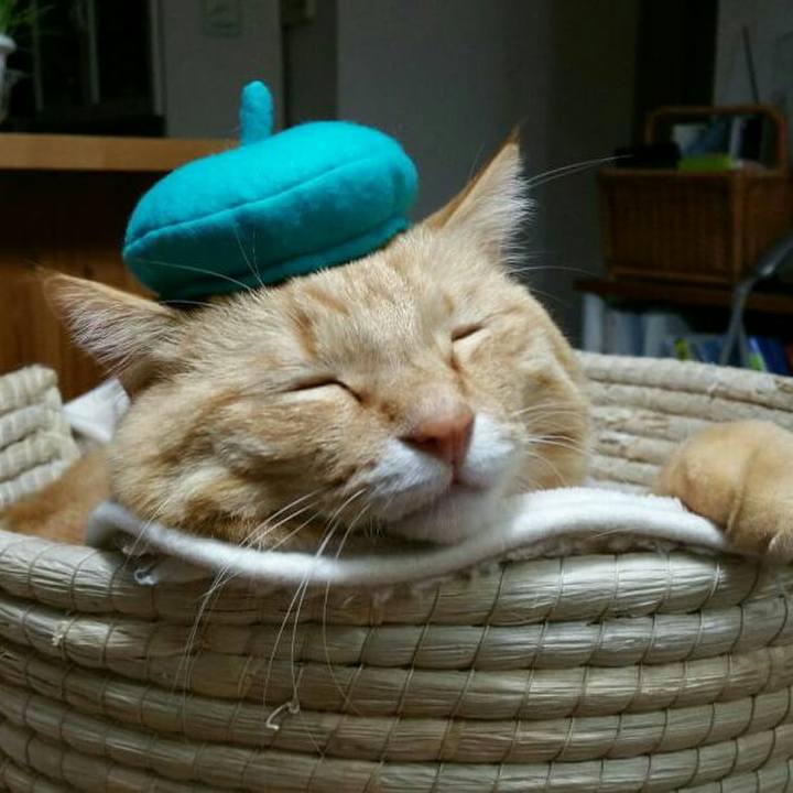 79db00f7 2575 455b 94d5 0be6ee224a96 1513235239742