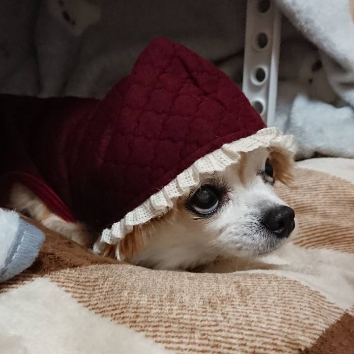 79db093e f342 4731 9254 30252a547536 1547042083633