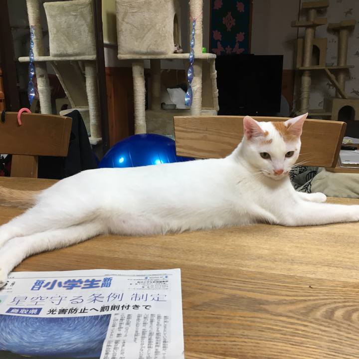 79db3540 d2f0 48df 9286 97a85982aef5 1516107007487