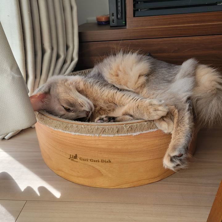 79db63c1 39e4 4056 a7a3 823e57e99905 1663110475630