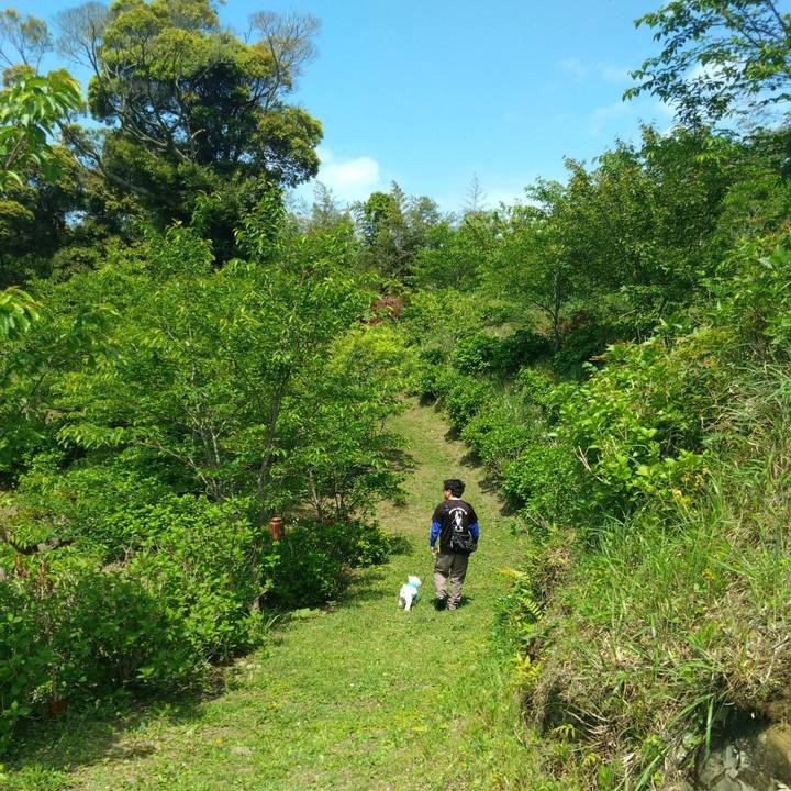 79dbd68e 1e87 4f2d 9a5e aa3885afd345 1745669191766