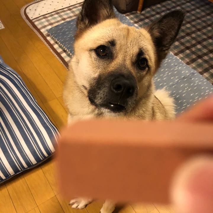 79dbe736 241a 49c0 9c4e 59ac5e57b7d7 1529498336229