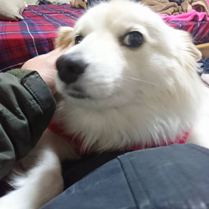 79dc17ef f584 481d a34a 3d3e0e8350e2 1517571087368