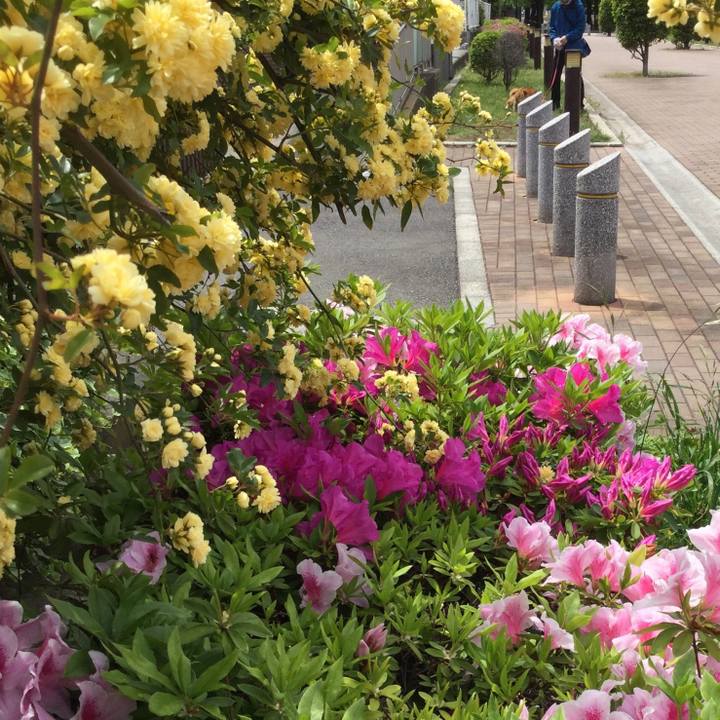 79dc1ff7 ffb9 4421 ad6e 326a28d78d1c 1556508863475