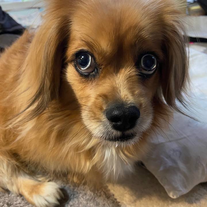 79dc56de 9e8d 4adf a644 b7437e17d24f 1622064245703