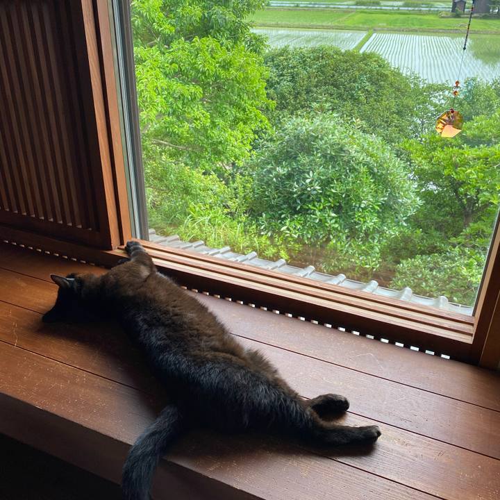 79dc714e 6ecd 488b 91e5 da51513d64d9 1593668183390