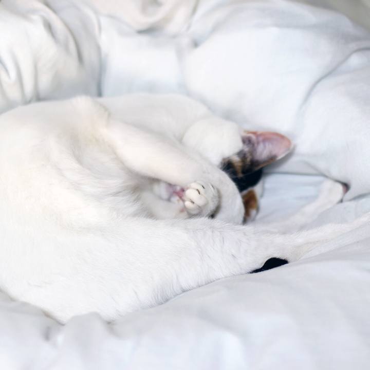 79dc92e4 a03b 4726 be0d 09c6482b2a07 1591368473256