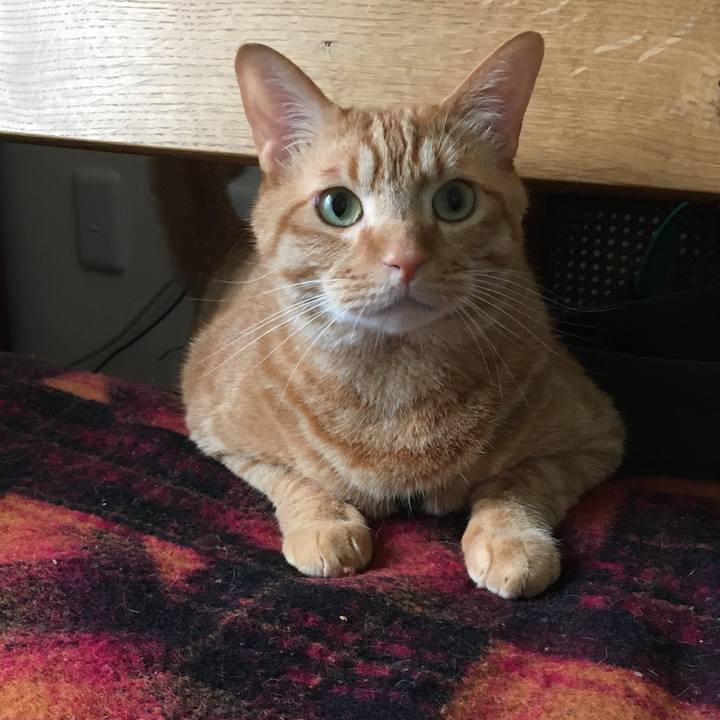 79dc9aab 5b8e 4ec1 a9ef 42e8b7cc1656 1590233054004