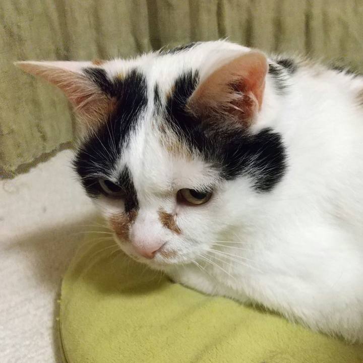 79dc9add 7a50 4dac 9fa7 5fb95a5f73b8 1591791745979