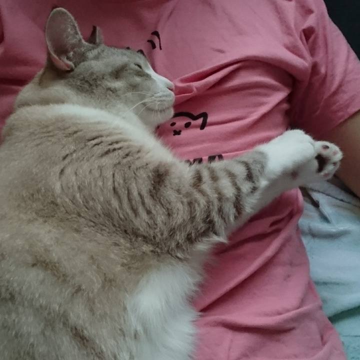 79dc9f7b b9b8 48ed 9282 bd30eb3c9dee 1568788890294