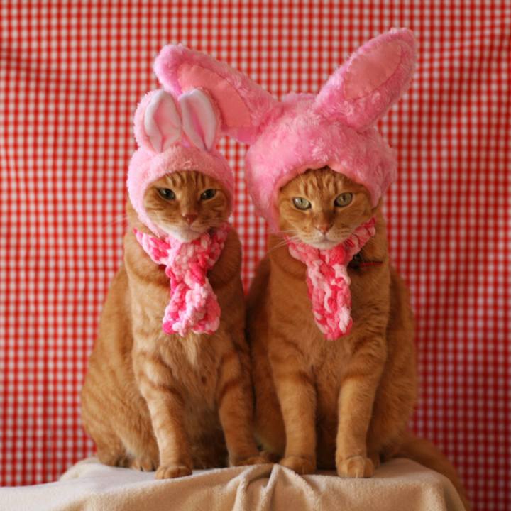 79dcb762 79bd 4003 a656 2f693c09394e 1513393399910