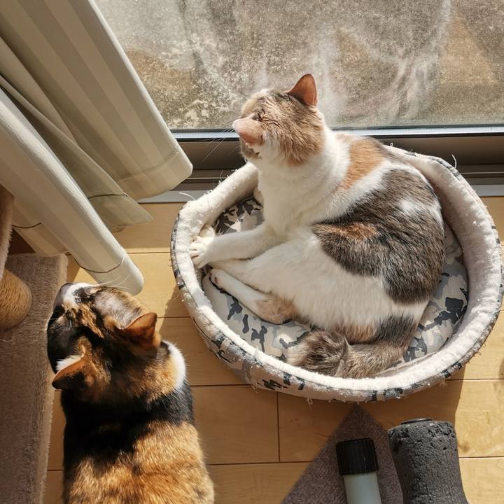 79dccf5a b4e0 43ec 89df aa7f426dd7ce 1679986791686