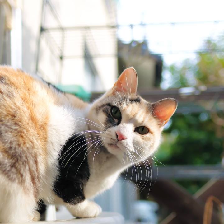 79dd2ee2 e242 4e22 b7e3 bc9810d8f472 1738850047868