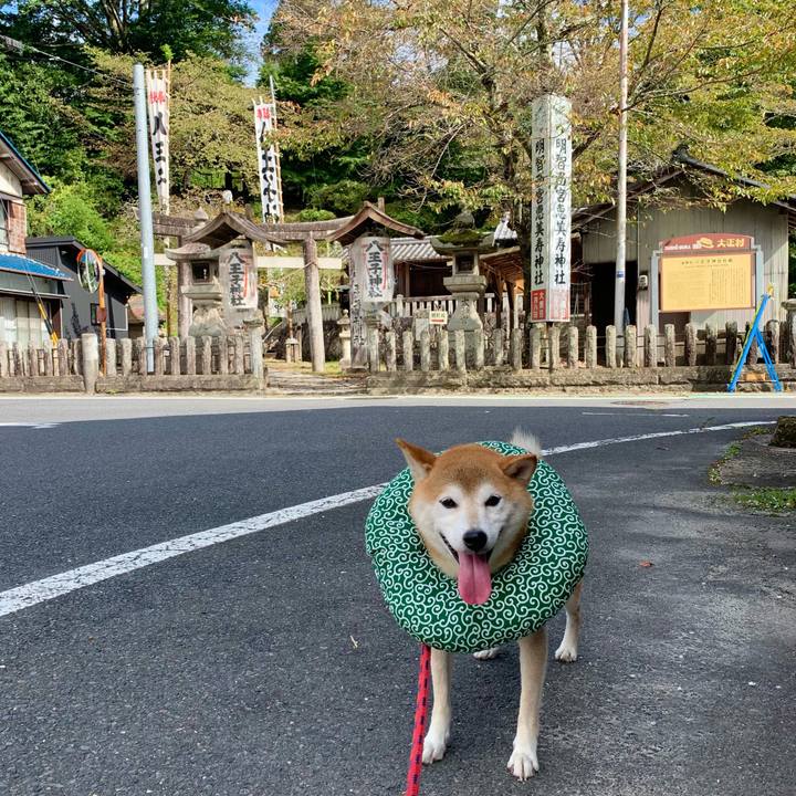 79dd32af df88 489d a86c 64d52510b1bd 1633853412311