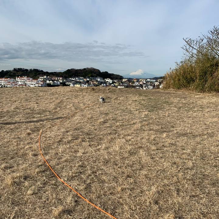 79dd447e 3fce 4579 a2fe 6c883916d7db 1672971921076