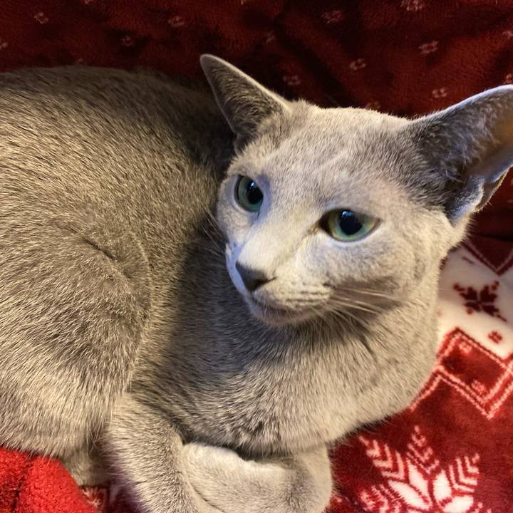 79dd4788 aeb7 428a 8fc2 fcf56688658d 1614304332184