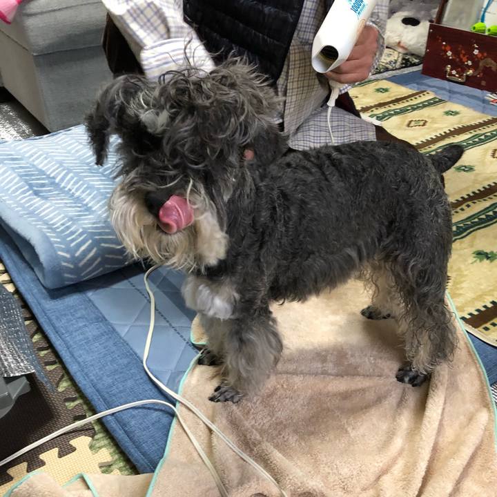 79dd507e 7e78 47ca b83f 4d3dfa5b0eca 1681635634378