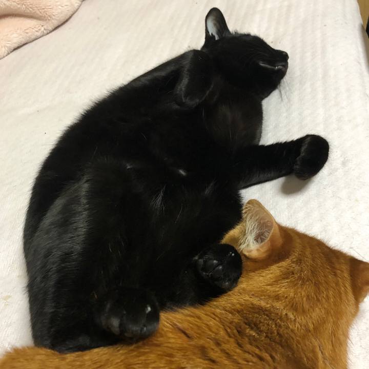 79dd703c a694 45fe ac33 8cff4fa2673a 1707210258766