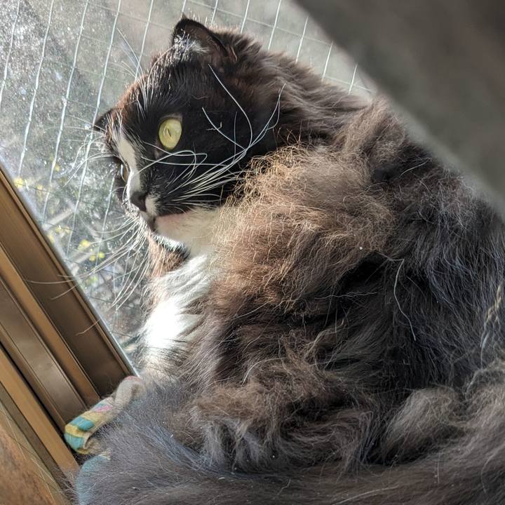 79dd8d15 88f3 4ef4 87fa 6d6c61af5e1b 1710666658028