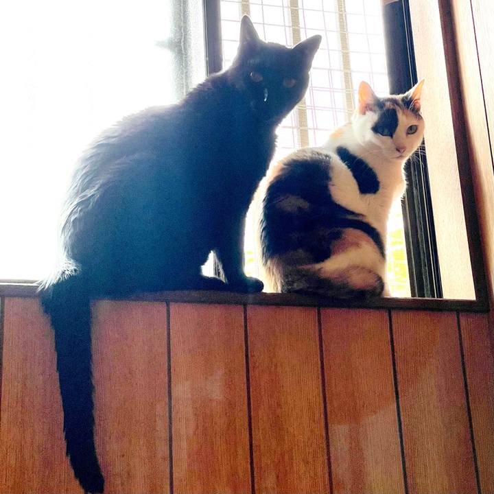 79dda098 44fe 40fc a066 f631e222bd94 1657248317427