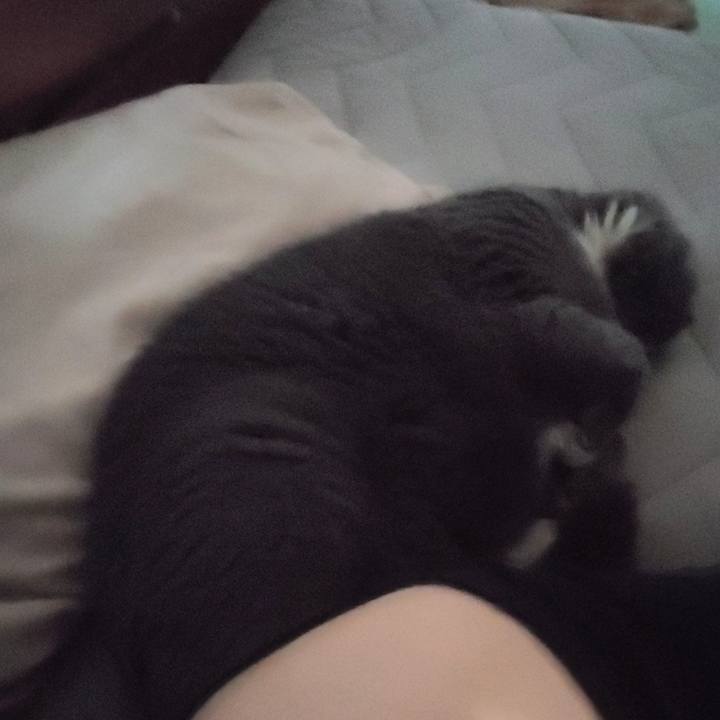 79dda485 d027 4d9b 8f85 6b3812404d8a 1692322067135