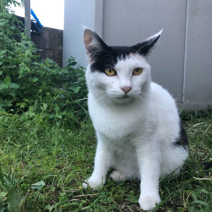 79ddb9d5 b2c2 48f3 855d 02fef8971202 1600088217023