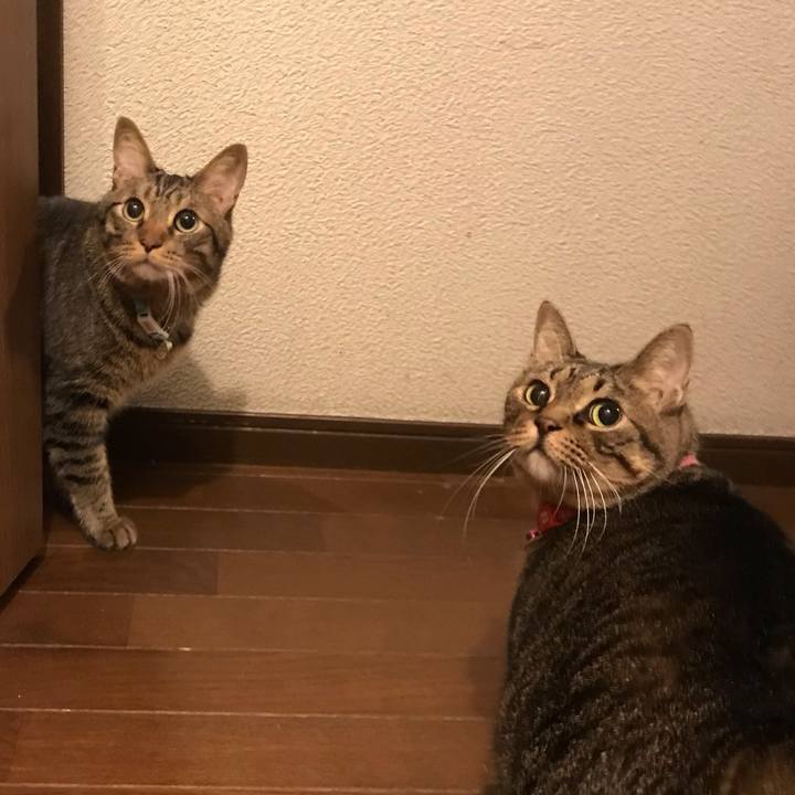 79ddc09f a1df 4118 8f34 d5dccfa54ee9 1559656328885