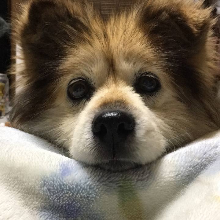 79ddd506 83f6 449b a726 af913f303725 1589712957060