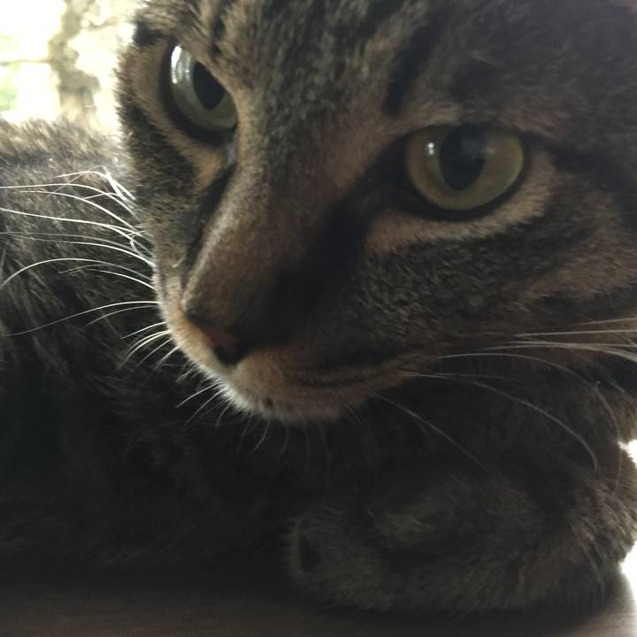 79ddff22 7778 4f38 abda 84242301470e 1531540647920