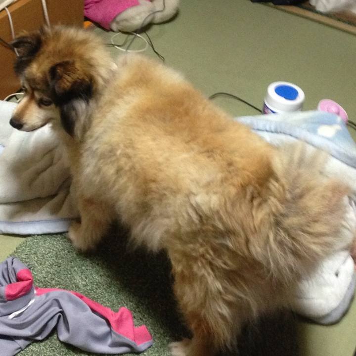 79de0fd5 6ebb 4fcd 8cf0 2466450a9f9b 1620441489143