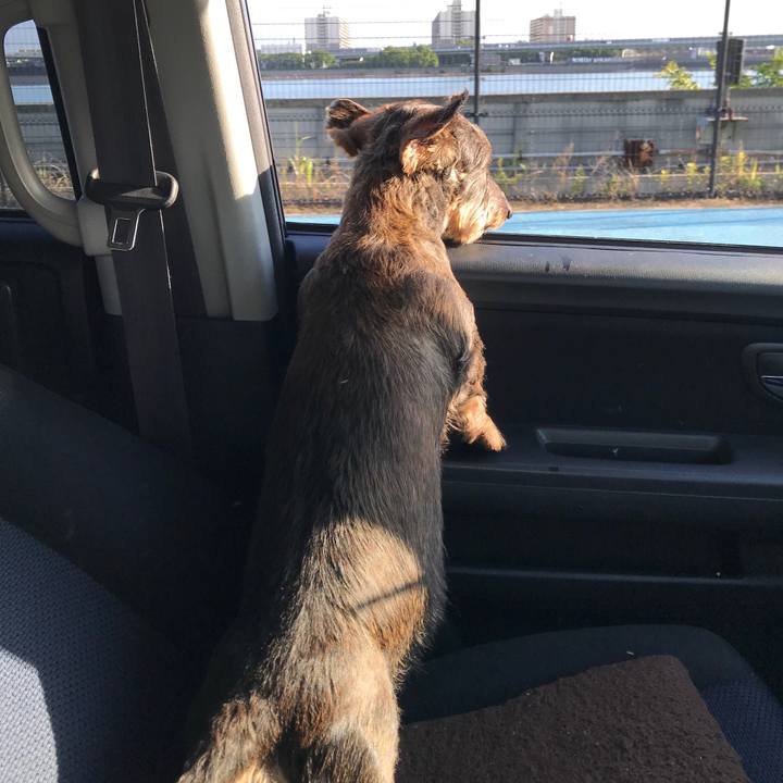 79de4895 69e9 4ce0 b278 bfb7f93a3f6e 1529099419976